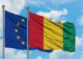 Significant Alterations to Guinea Visa Process: Increased Fees and Extended Processing Time for EU Nationals